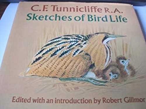 Sketches bird life - sketches,