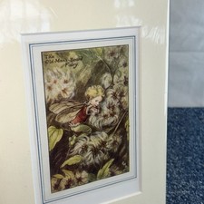 Vintage Flower Fairies & Mount