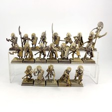 x20 Tomb Guards Plastic
