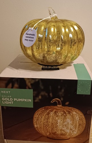 New next solar gold pumpkin - new,