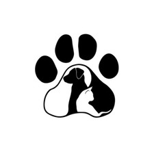 3pcs palm cat dog - dog, pet