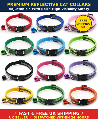 Pack reflective cat - reflective,