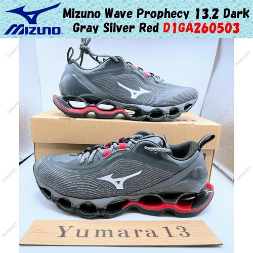 Mizuno wave prophecy - mizuno, 13.2