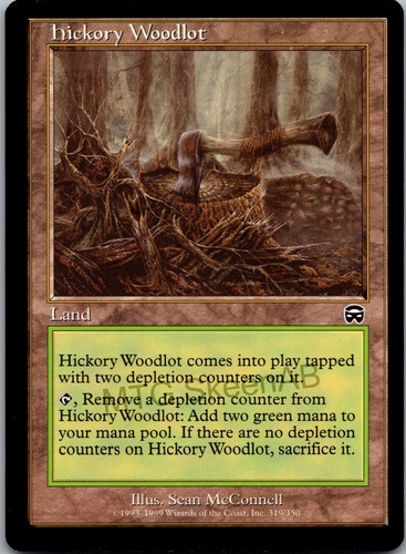Mtg skeenab hickory - mtg, woodlot