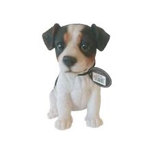:~Tricolour Jack Russell Dog