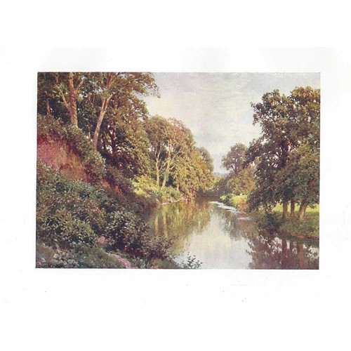 Dorking surrey the - surrey,, river
