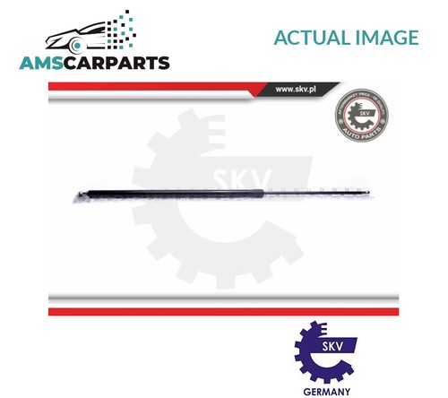 Tailgate boot strut - strut, rear