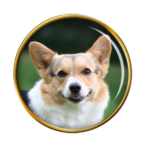 Cardigan welsh corgi - welsh, pin