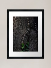 Tree trunk Framed Art Print