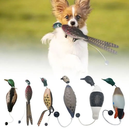 Dog training duck dummy eva - dog, dummy-
