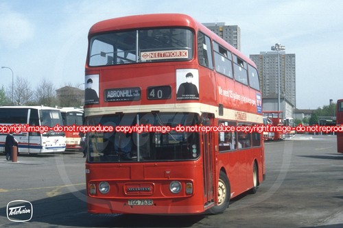 Bus photo kcb network - photo, kelvin