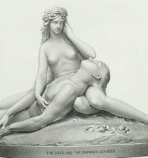 The Siren & the Drowned