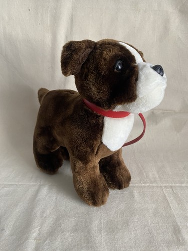 Brown white dog - &,