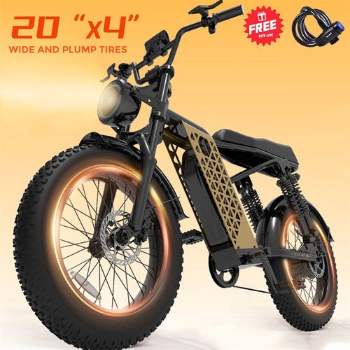 Eclio electric dirt bike - 20",