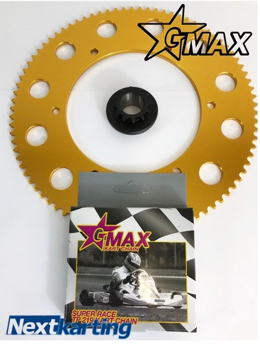 Rotax max drive system x13 - max,