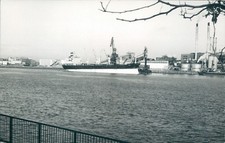 Maltese MV pany R at  london