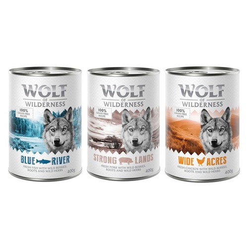 Wolf wilderness wet dog - wolf,