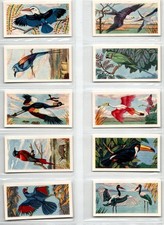 Amalgamated Tobacco: Tropical