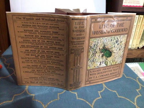Wayside and woodland life - wayside,