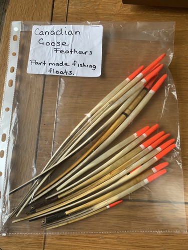 Canadian goose feathers - canadian, part