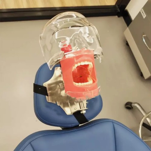 Dental simulator manikin - dental,