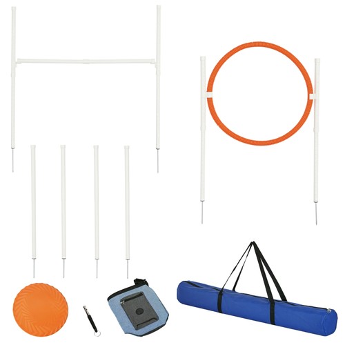 Dog agility equipment - agility,