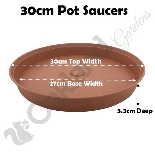 Plant pot saucer - saucer, drip
