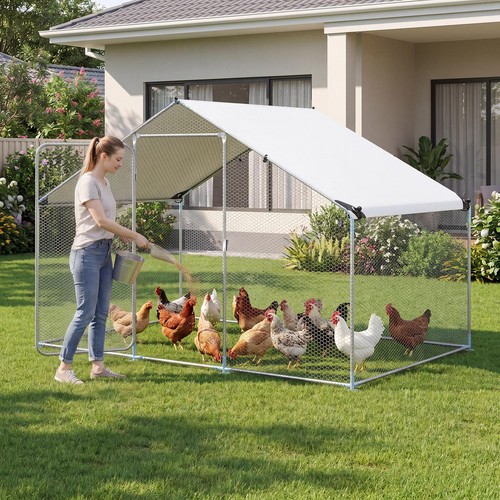 Large metal chicken - chicken, coop