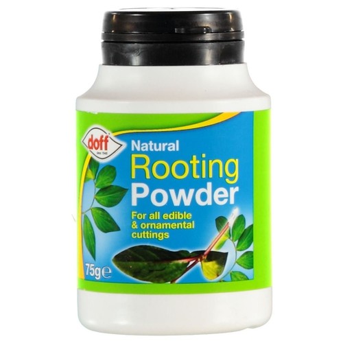 Doff natural hormone rooting - natural,