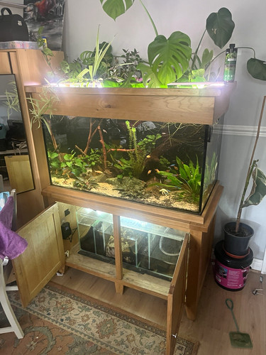 Aquaoak 340l glass oak - 340l,