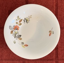 Myott’s Ironstone Montego