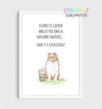 Shetland Sheepdog Picture