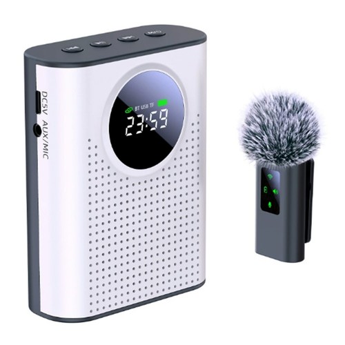 Microphone and speaker - microphone,