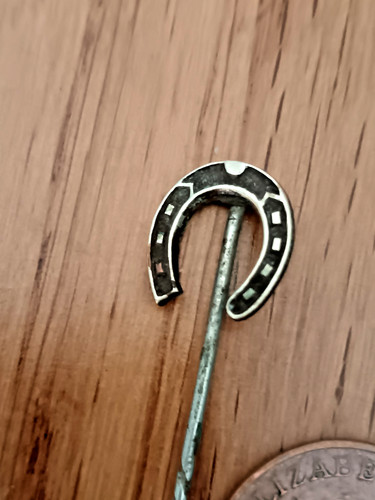 Vintage horseshoe lapel - vintage, tie