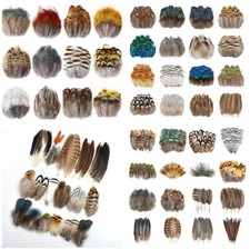 Natural feathers pheasant - natural,