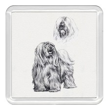 TIBETAN TERRIER Dog Acrylic