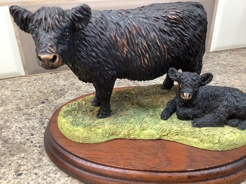 Border fine arts galloway cow - border,