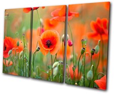 Floral Poppy Field Flowers