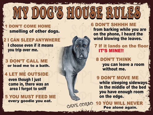 Cane corso dog house - cane, dog's