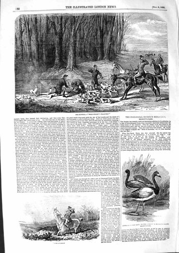 Original old antique print - original,