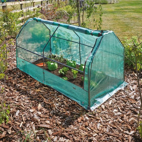 Garden cloche mini - mini, greenhouse