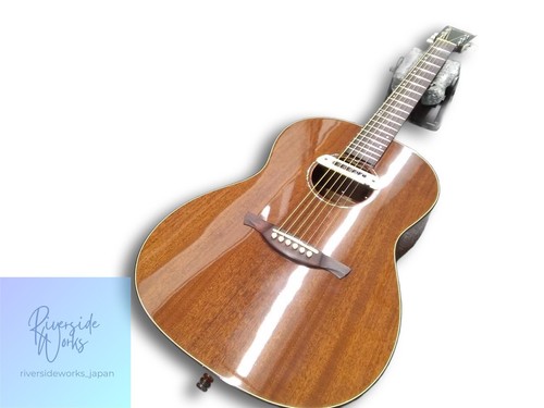 History electric acoustic - history,