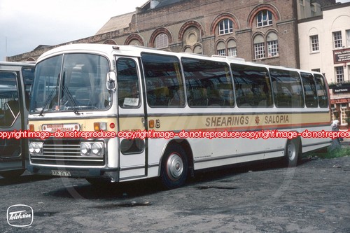 Coach photo shearings - coach,