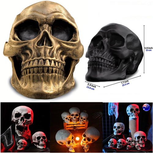 Life size human skull - size,