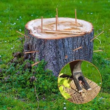For Effective Stump Removal