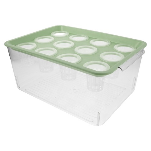 Goldfish tank indoor herb - ,
