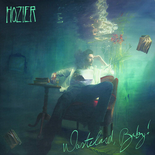 Hozier wasteland baby cd - hozier, wasteland,