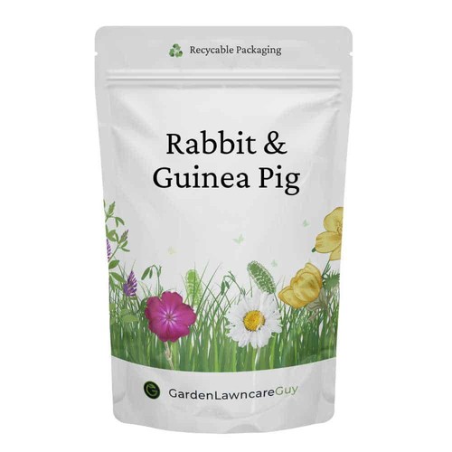 Rabbit guinea pig forage - guinea,