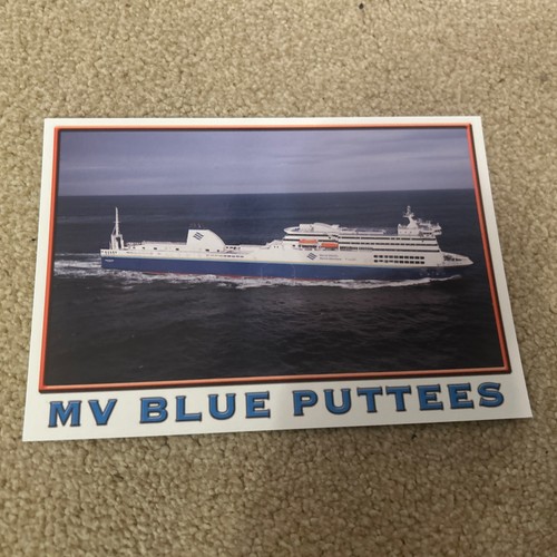 Blue puttees official - puttees,