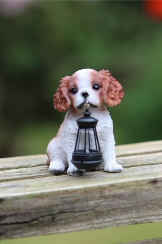 Garden ornament solar - ornament,